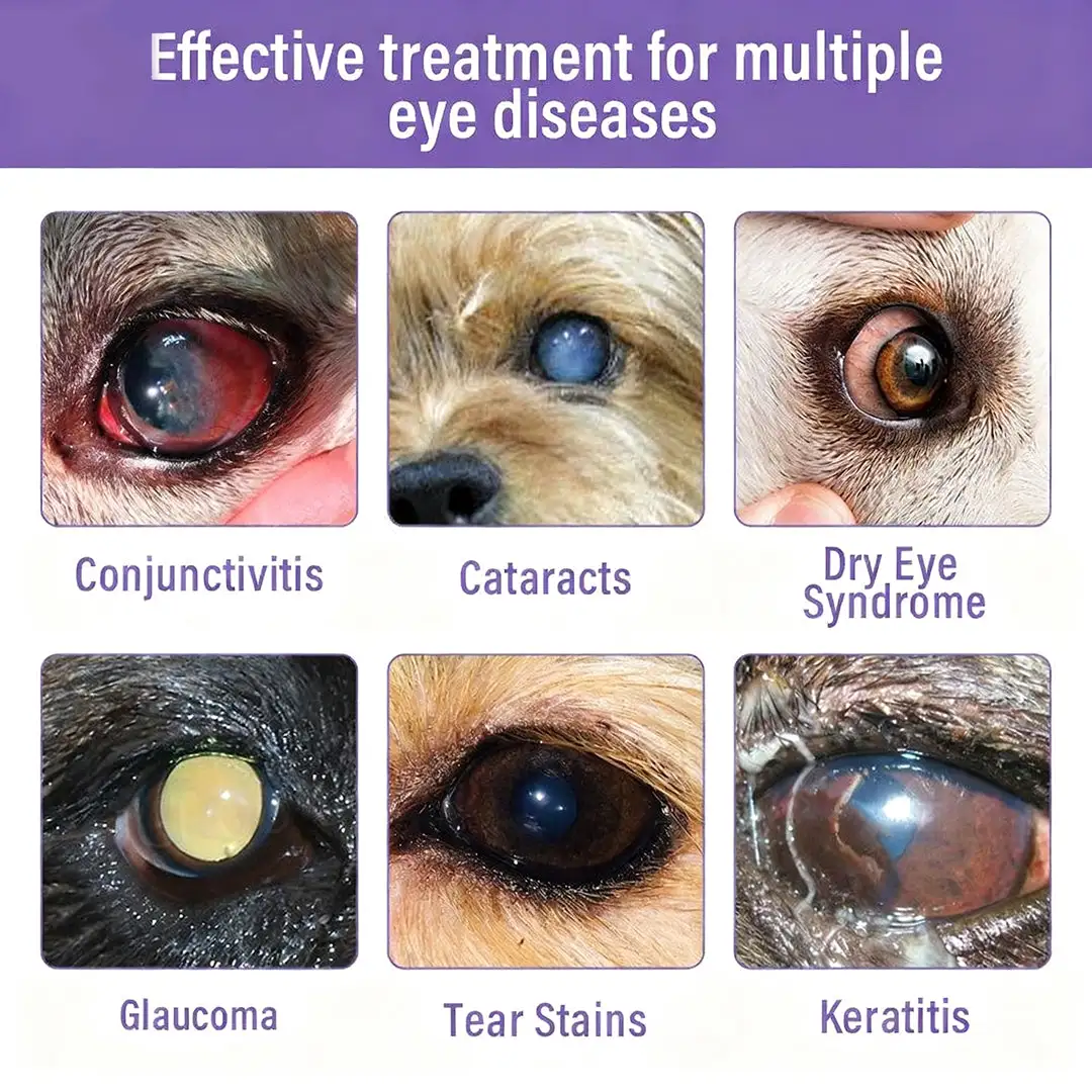 👩⚕️ Zakdavi™ NanoCare Pet Eye Drops ☑️ FDA Approved | Relieves Conjunctivitis, Dry Eyes, Cataracts, and Keratitis🐶
